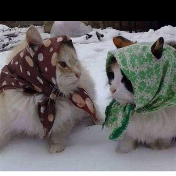 Maria - Picture 3 of 4